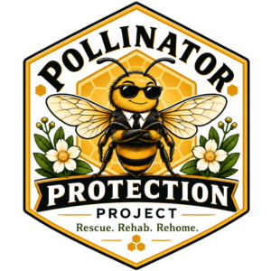 ppp logo